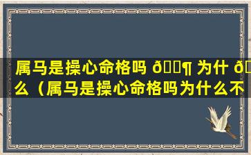 属马是操心命格吗 🐶 为什 🕊 么（属马是操心命格吗为什么不能结婚）